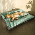 green dog bed