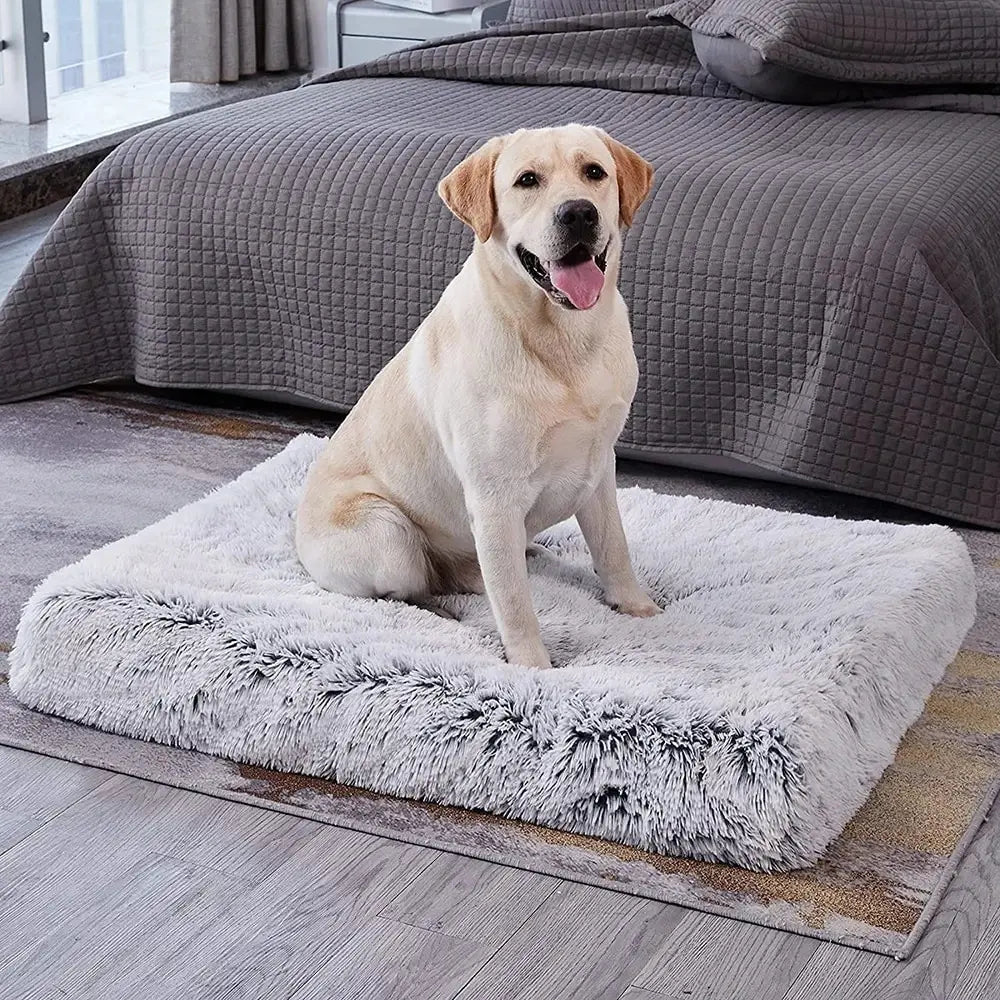 Long Plush Dog Bed with Non-slip Bottom Orthopedic Foam Dog Bed Removable Cover for Large Medium Small Dogs Machine Washable